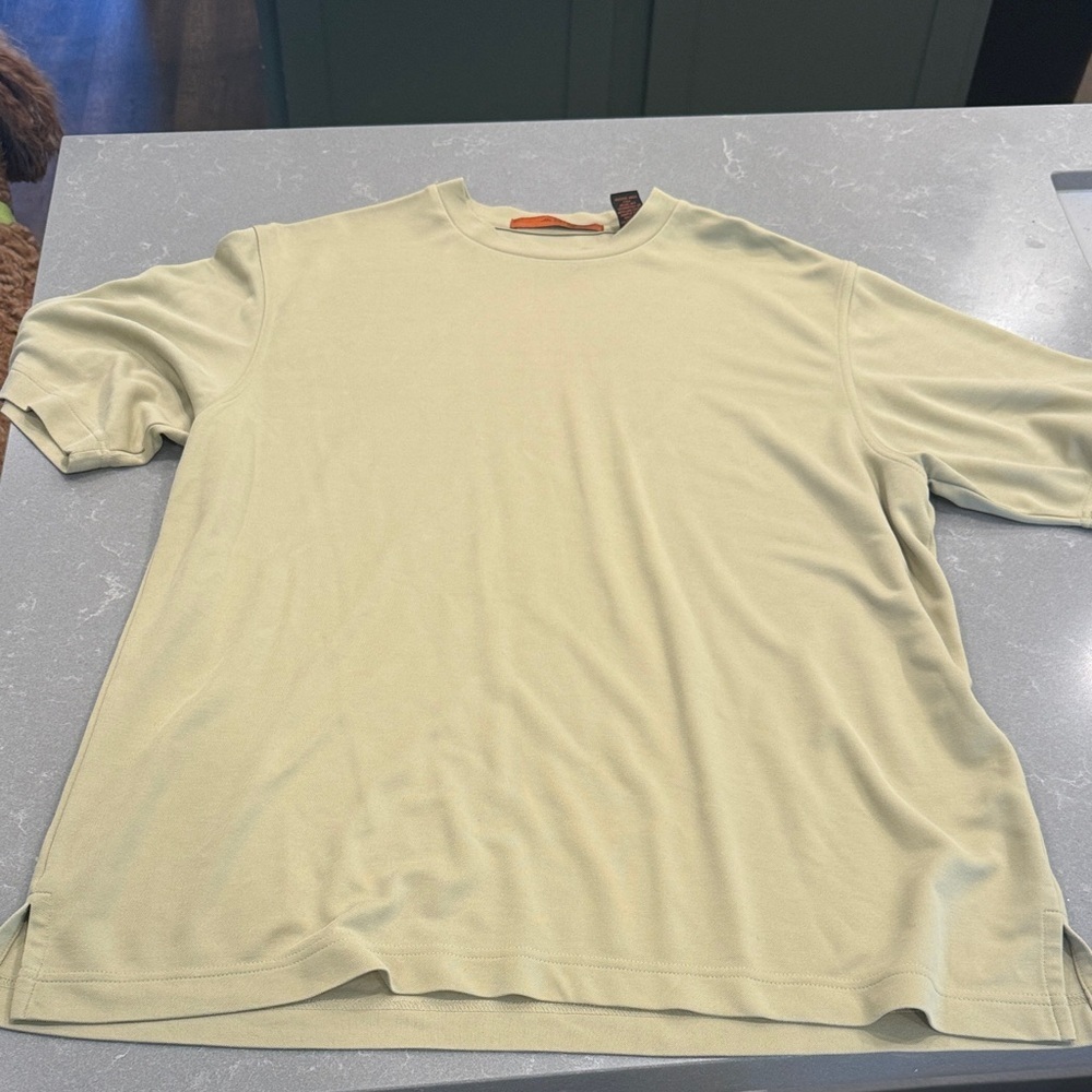 Men's Crewneck Short-Sleeve Shirt in Pale Sage - Unbranded